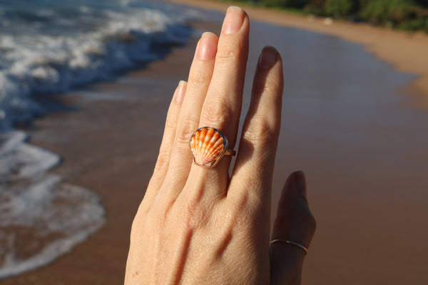 Sunrise Shell Ring in 14k Gold Fill