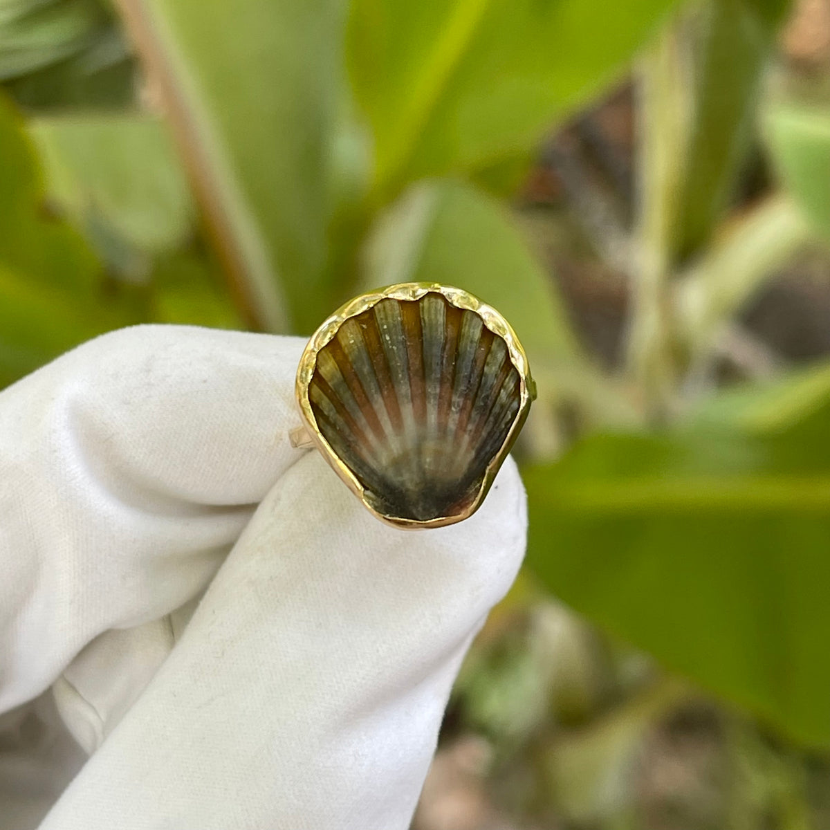 Moonrise Shell Ring in Gold – Kauai Jewelry