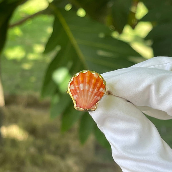 14k Gold Orange Sunrise Shell Ring
