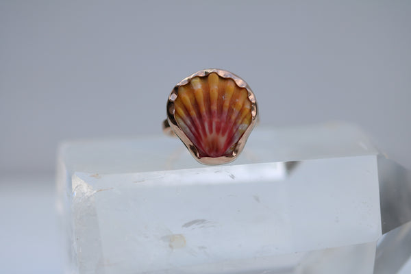 Sunrise Shell Ring in 14k Gold Fill