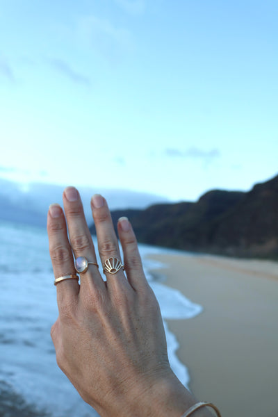 Gold Shell Ring in 14k