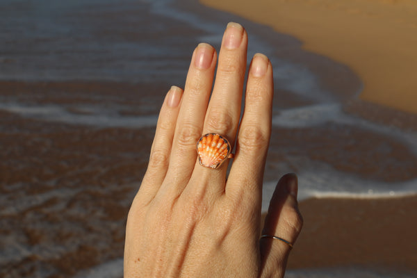 Sunrise Shell Ring in 14k Gold Fill