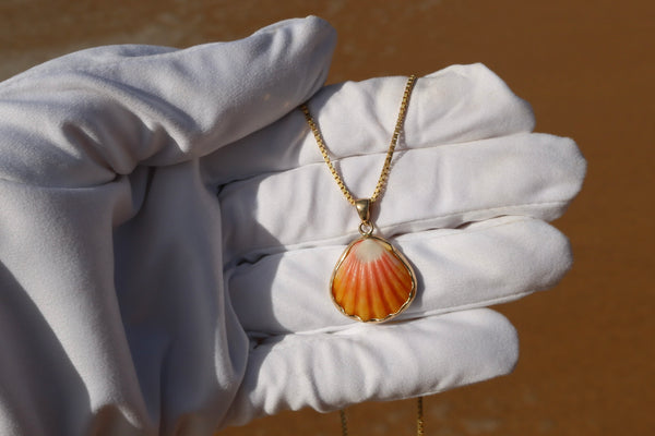 14k Gold Sunrise Shell Necklace