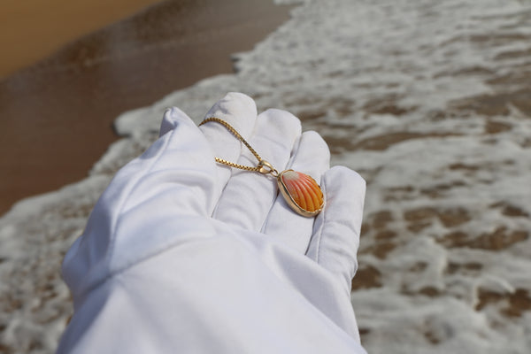 14k Gold Sunrise Shell Necklace