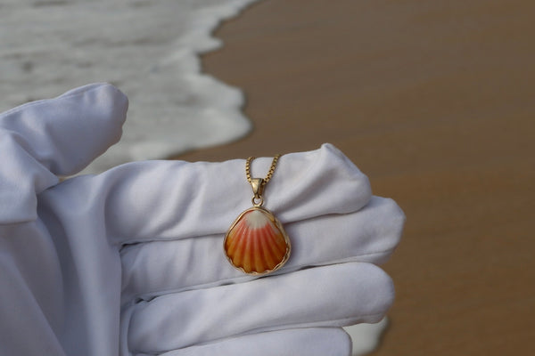 14k Gold Sunrise Shell Necklace