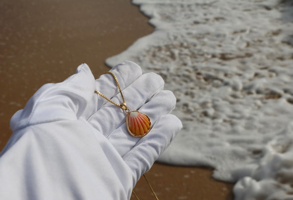 14k Gold Sunrise Shell Necklace