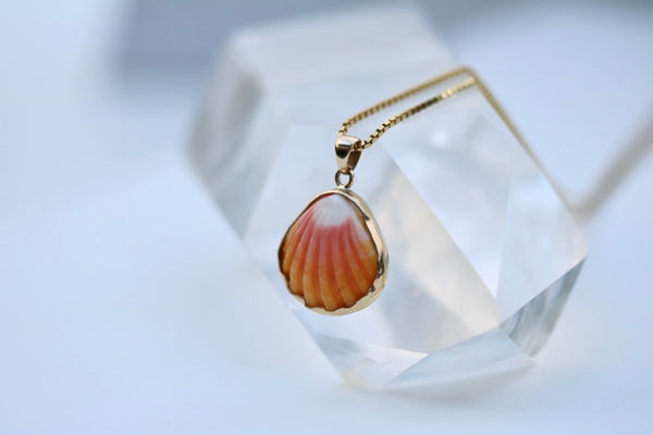 14k Gold Sunrise Shell Necklace