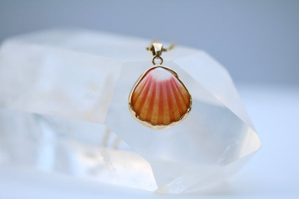 14k Gold Sunrise Shell Necklace