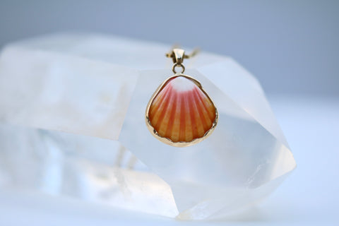 14k Gold Sunrise Shell Necklace