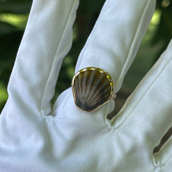 Moonrise Shell Ring in Gold