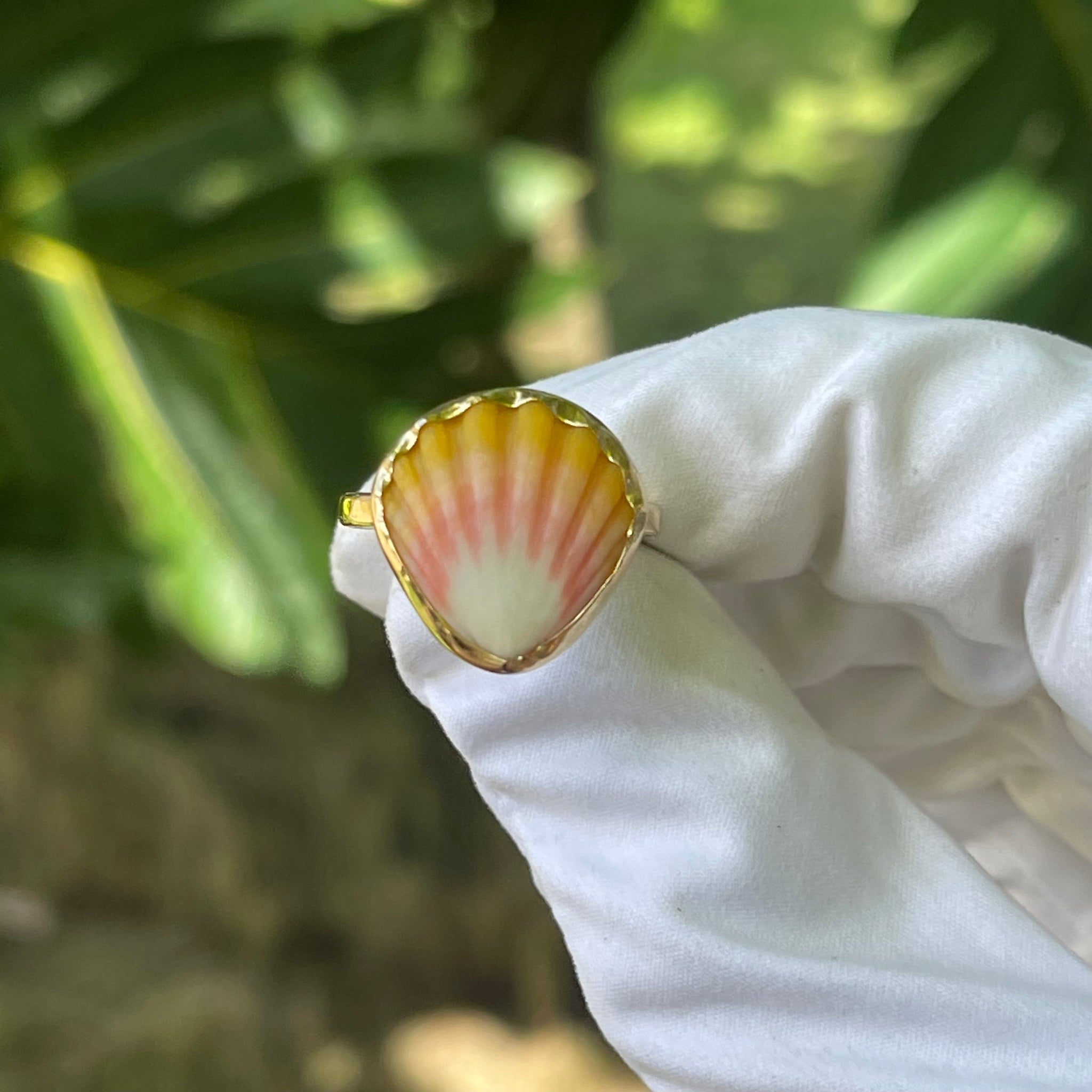 Sunrise Shell Ring in Gold