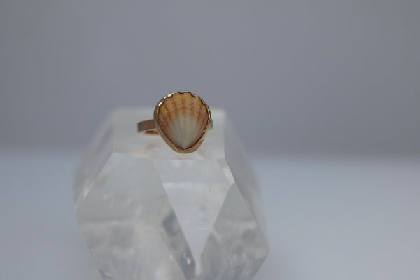 Gold Sunrise Shell Ring