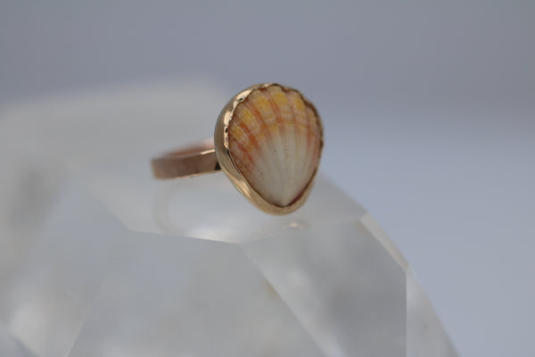 Gold Sunrise Shell Ring