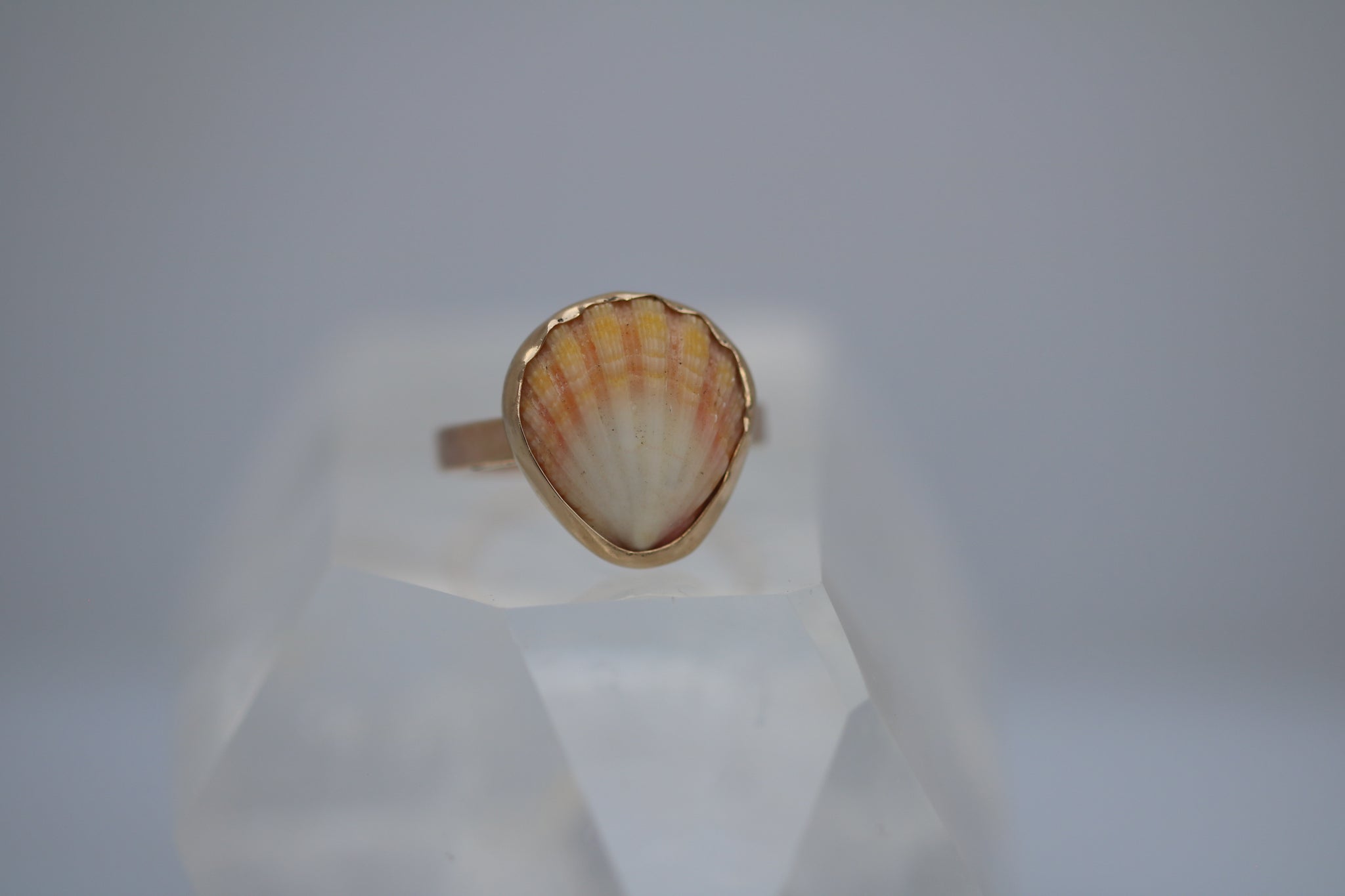 Gold Sunrise Shell Ring