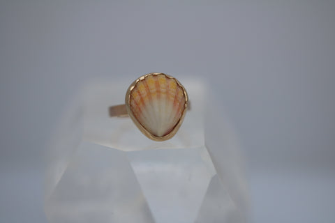 Gold Sunrise Shell Ring