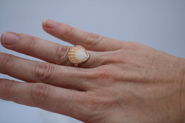 Gold Sunrise Shell Ring