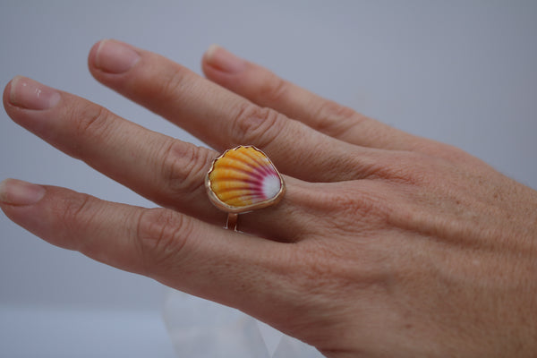 Gold Sunrise Shell Ring