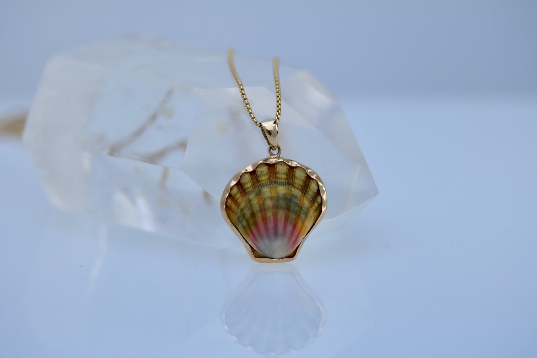 14k Gold Sunrise Shell Necklace