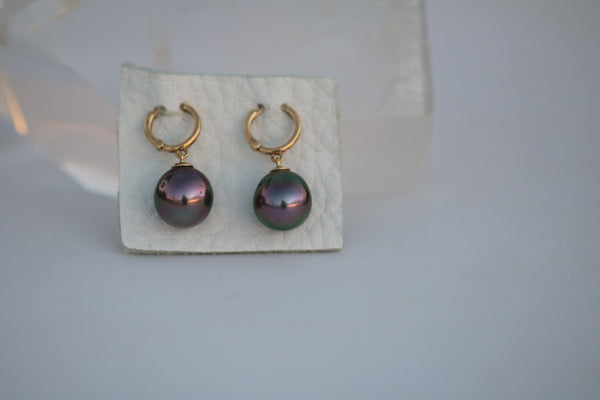 Tahitian pearl  hoop earrings - solid 14k gold