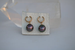 Tahitian pearl  hoop earrings - solid 14k gold