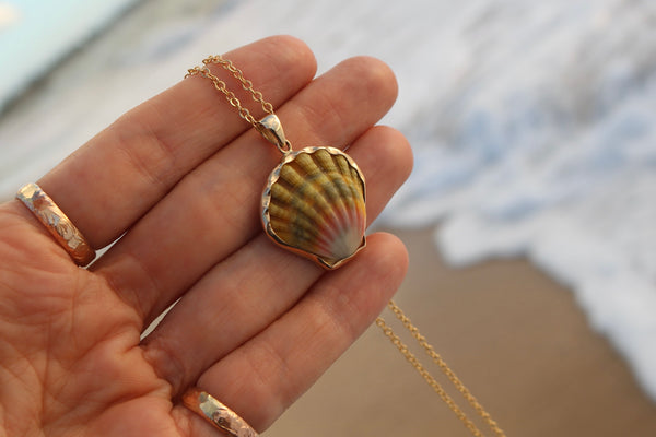 14k Gold Sunrise Shell Necklace