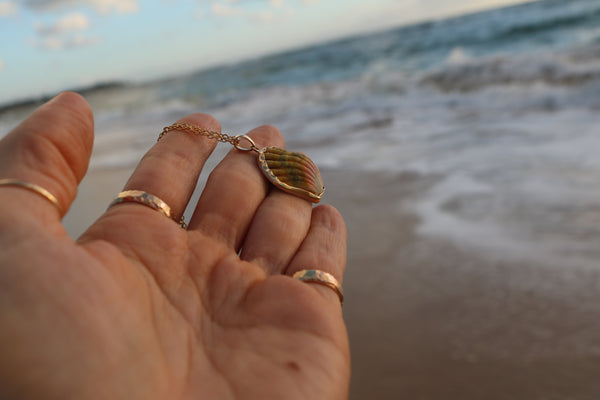 14k Gold Sunrise Shell Necklace