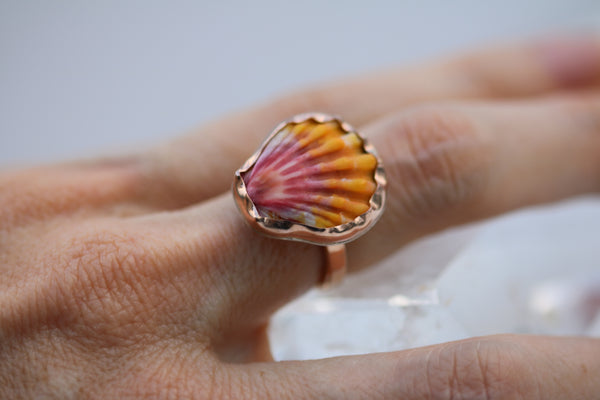 Sunrise Shell Ring in 14k Gold Fill