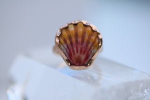 Sunrise Shell Ring in 14k Gold Fill