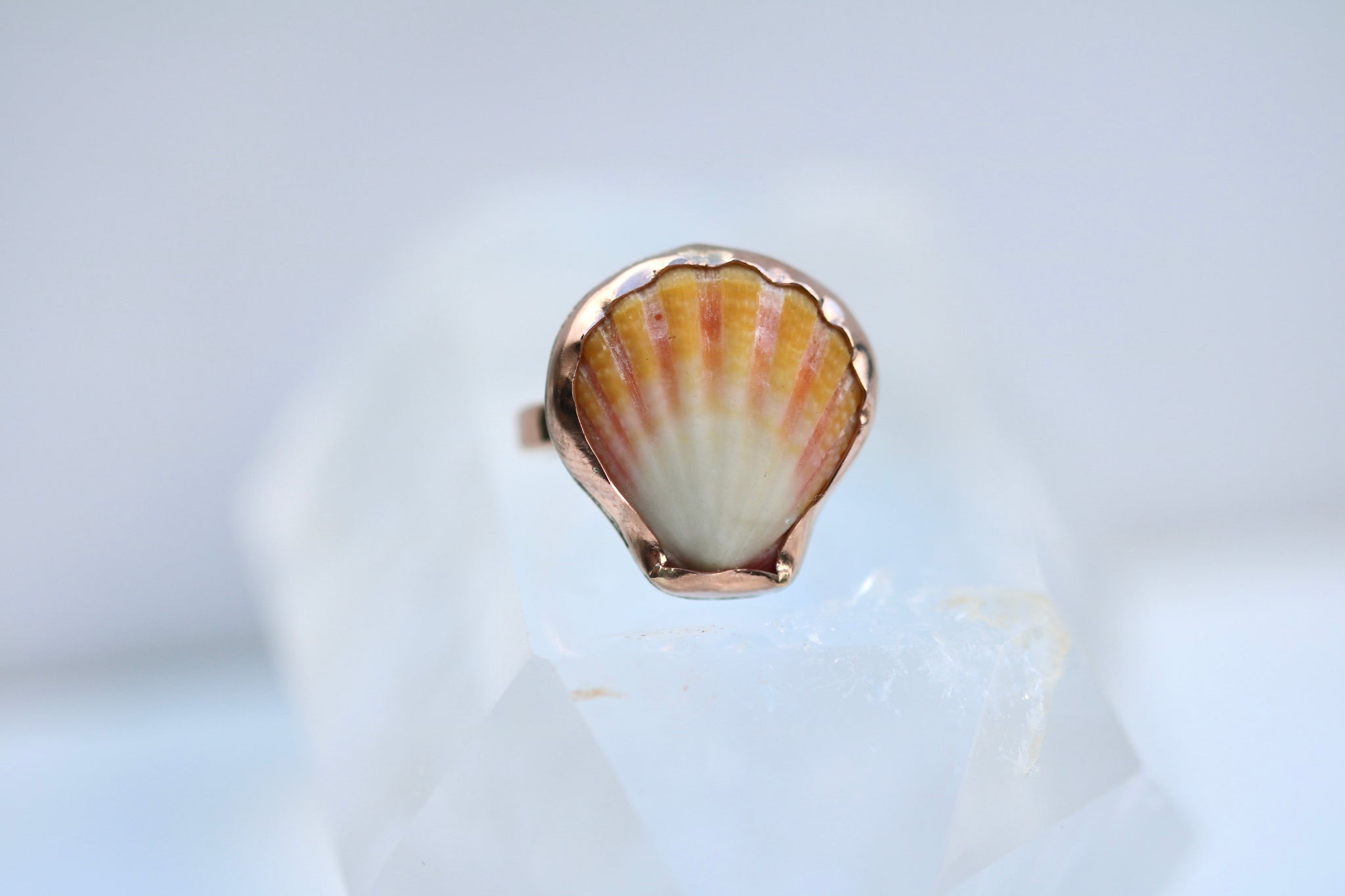 Sunrise Shell Ring in 14k Gold Fill