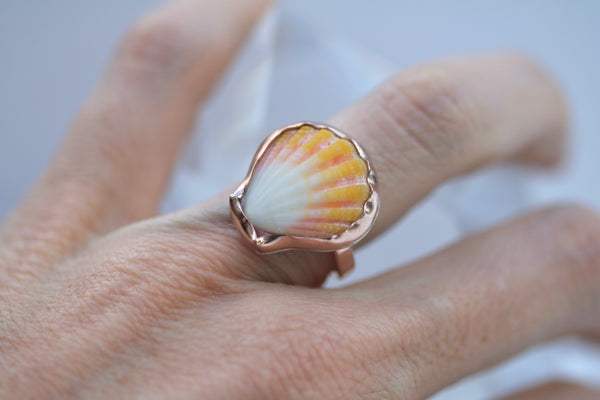 Sunrise Shell Ring in 14k Gold Fill