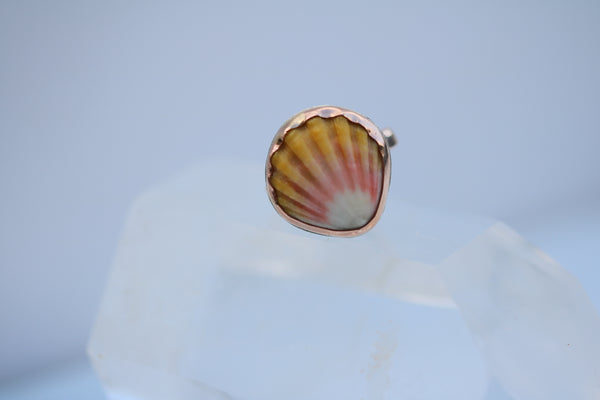 Sunrise Shell Ring in 14k Gold Fill