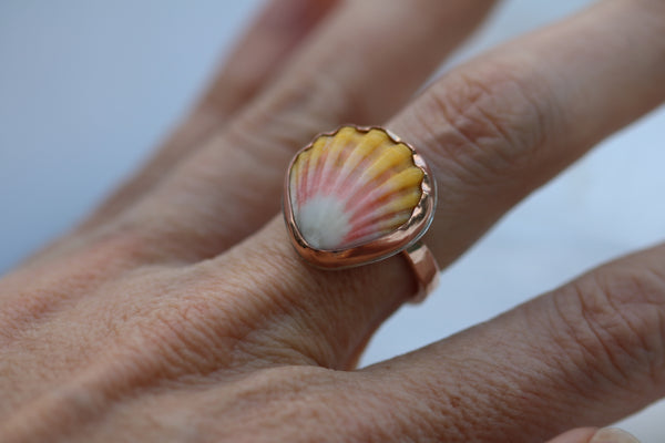 Sunrise Shell Ring in 14k Gold Fill