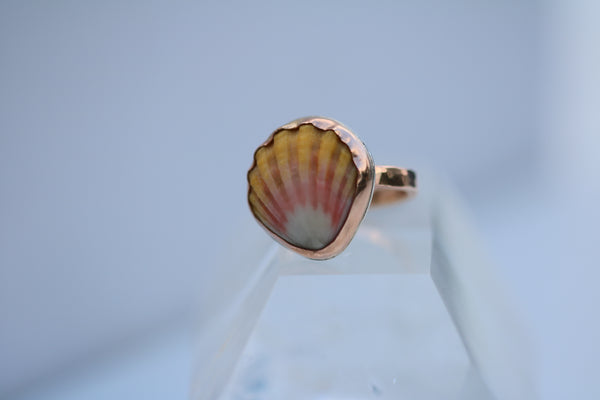 Sunrise Shell Ring in 14k Gold Fill