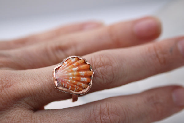 Sunrise Shell Ring in 14k Gold Fill