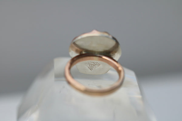 Sunrise Shell Ring in 14k Gold Fill