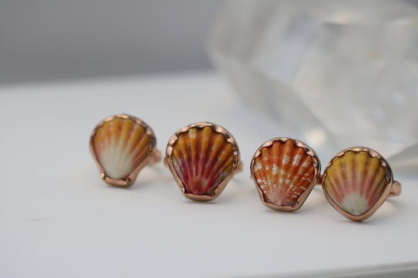 Sunrise Shell Ring in 14k Gold Fill