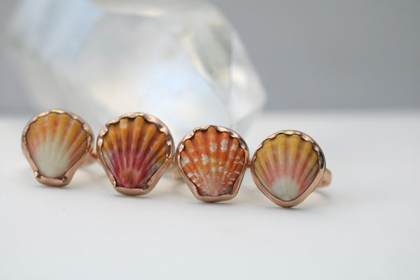 Sunrise Shell Ring in 14k Gold Fill