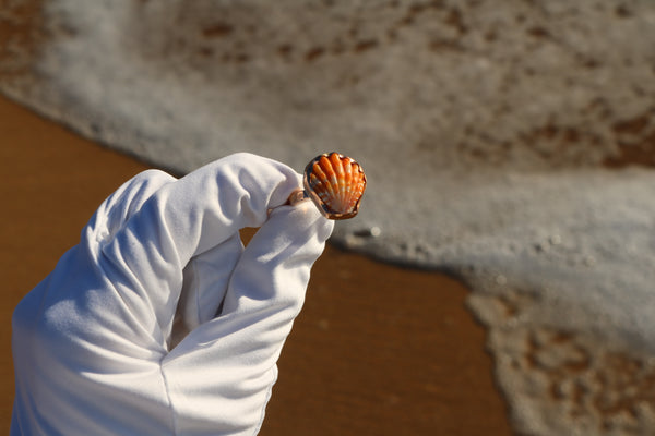 Sunrise Shell Ring in 14k Gold Fill