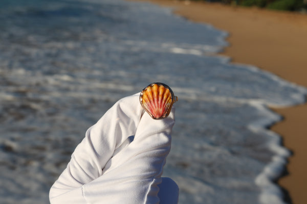 Sunrise Shell Ring in 14k Gold Fill