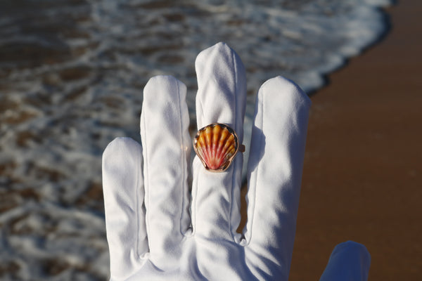 Sunrise Shell Ring in 14k Gold Fill