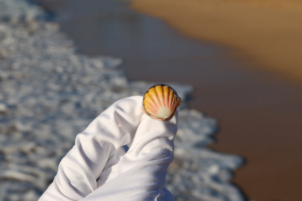 Sunrise Shell Ring in 14k Gold Fill