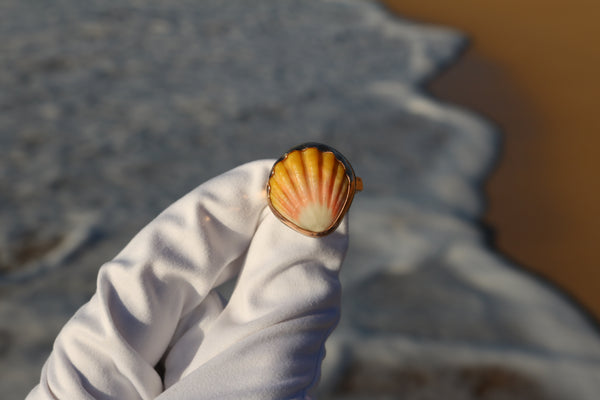 Sunrise Shell Ring in 14k Gold Fill