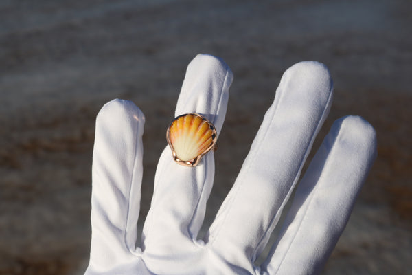 Sunrise Shell Ring in 14k Gold Fill