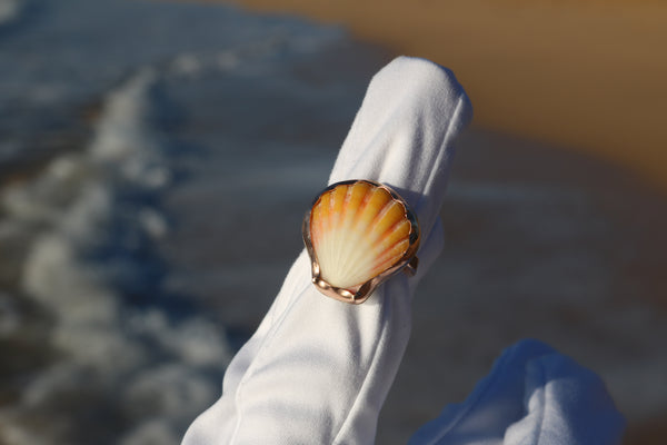 Sunrise Shell Ring in 14k Gold Fill