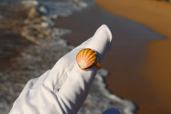 Sunrise Shell Ring in 14k Gold Fill