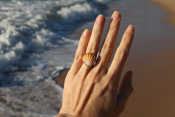 Sunrise Shell Ring in 14k Gold Fill