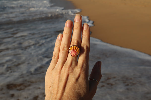 Sunrise Shell Ring in 14k Gold Fill