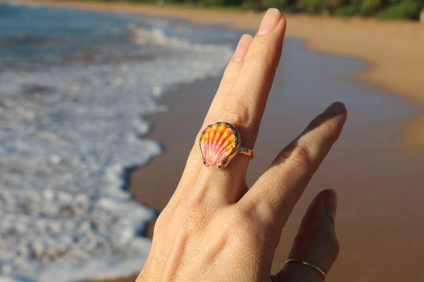 Sunrise Shell Ring in 14k Gold Fill