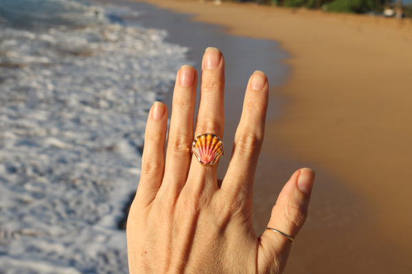 Sunrise Shell Ring in 14k Gold Fill