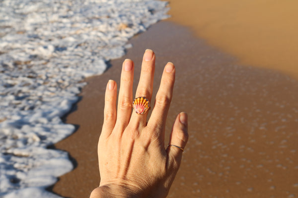 Sunrise Shell Ring in 14k Gold Fill